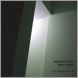 endspace - angharad davies & tisha mukarji
