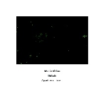 Iddon Naiads